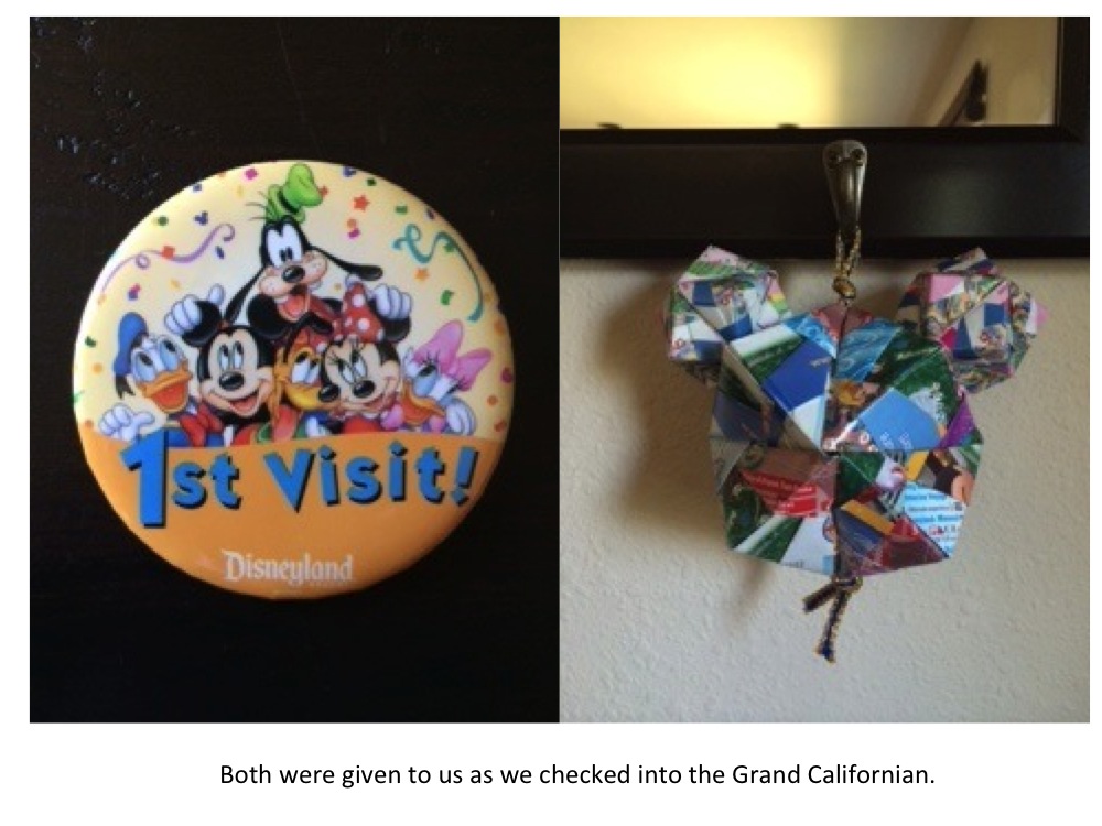 Guide to Disneyland, CA